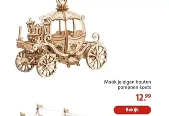 Bruna Maak je eigen houten pompoen koets aanbieding