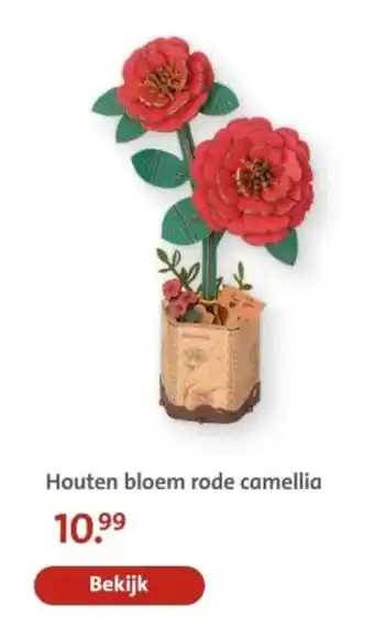 Bruna Houten bloem rode camellia aanbieding