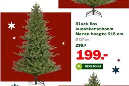 Welkoop Black Box kunstkerstboom Meran hoogte 215 cm aanbieding