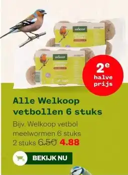 Welkoop Alle Welkoop vetbollen 6 stuks aanbieding