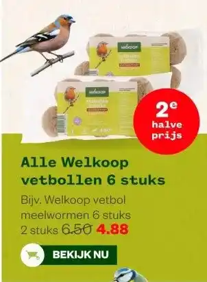 Welkoop Alle Welkoop vetbollen 6 stuks aanbieding