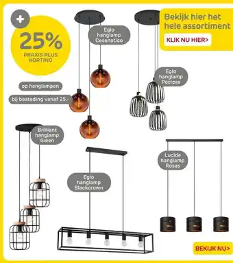 Praxis hanglampen aanbieding