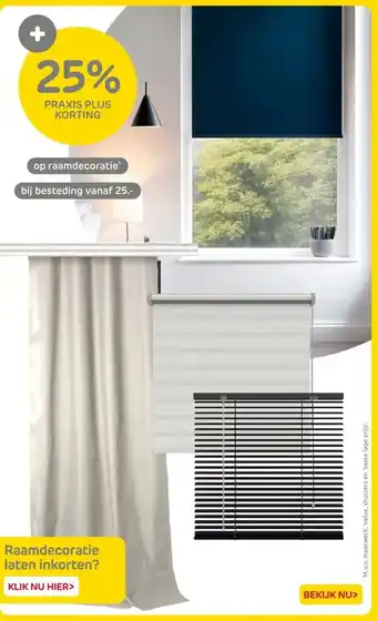 Praxis raamdecoratie aanbieding