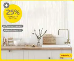 Praxis Maestro wandpanelen aanbieding