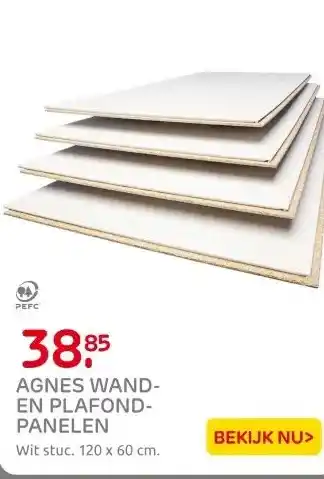 Praxis Agnes wand-en plafondplaat T&G 4-z wit aanbieding