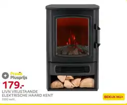 Praxis Livn vrijstaande haard Kent aanbieding