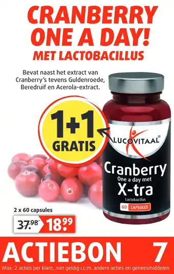 Lucovitaal CRANBERRY ONE A DAY! MET LACTOBACILLUS aanbieding