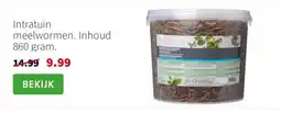 Intratuin Intratuin meelwormen. Inhoud 860 gram. aanbieding