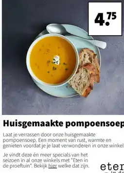 Intratuin Huisgemaakte pompoensoep aanbieding
