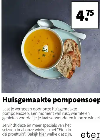 Intratuin Huisgemaakte pompoensoep aanbieding