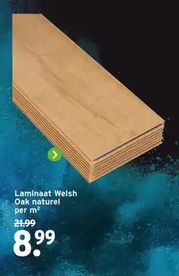GAMMA Laminaat Welsh Oak naturel aanbieding