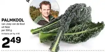 Ekoplaza PALMKOOL aanbieding