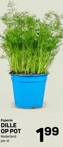Ekoplaza Especia DILLE OP POT aanbieding