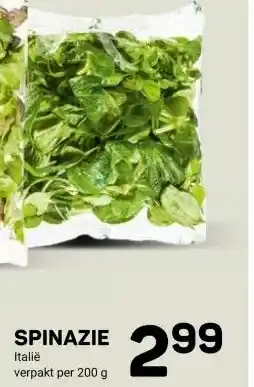 Ekoplaza SPINAZIE aanbieding