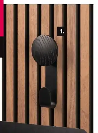 Karwei Lattenwand accessoire hanger aanbieding