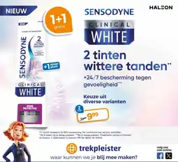 Trekpleister Keuze uit diverse varianten aanbieding