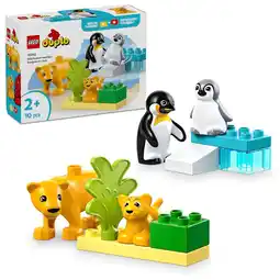 Kruidvat LEGO DUPLO 10442 Families van Wilde Dieren: Pinguïns en Leeuwen aanbieding