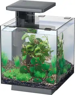 Intratuin SuperFish aquarium QubiQ 15 zwart 15 L aanbieding