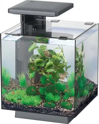 Intratuin SuperFish aquarium QubiQ 15 zwart 15 L aanbieding