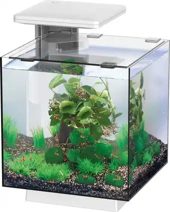Intratuin SuperFish aquarium QubiQ 15 wit 15 L aanbieding