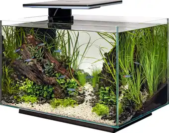 Intratuin SuperFish aquarium Quadro 70 Pro zwart 67 L aanbieding