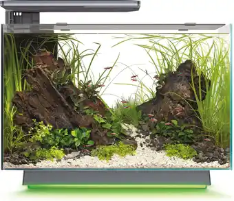 Intratuin SuperFish aquarium Quadro 70 Multi Colour zwart 67 L aanbieding