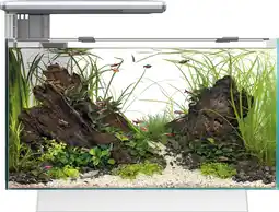 Intratuin SuperFish aquarium Quadro 40 Pro wit 28 L aanbieding