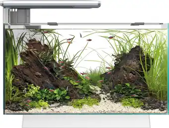 Intratuin SuperFish aquarium Quadro 40 Pro wit 28 L aanbieding