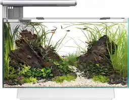 Intratuin SuperFish aquarium Quadro 40 Multi Colour wit 28 L aanbieding