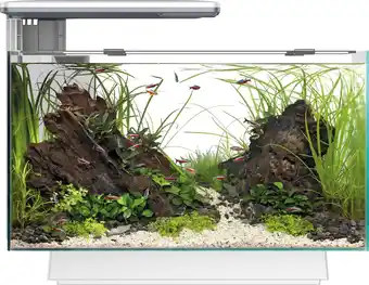 Intratuin SuperFish aquarium Quadro 40 Multi Colour wit 28 L aanbieding