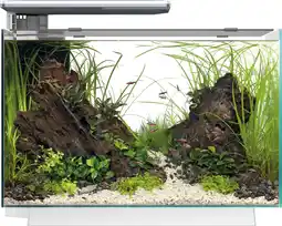 Intratuin SuperFish aquarium Quadro 70 Pro wit 67 L aanbieding