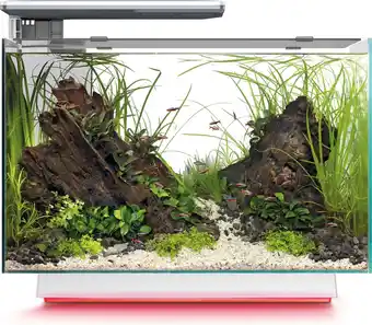 Intratuin SuperFish aquarium Quadro 70 Multi Colour wit 67 L aanbieding