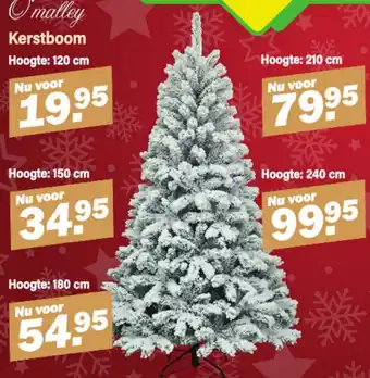 Van Cranenbroek O'malley Kerstboom aanbieding