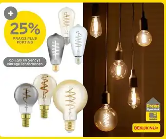 Praxis Eglo en Sencys vintage lichtbronnen aanbieding