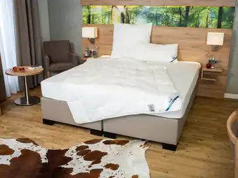 Lidl BeCo Zomerdekbed Proneem aanbieding