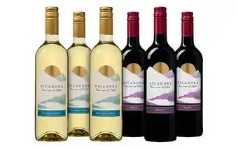 Wijnvoordeel Wijnpakket Picadora Sauvignon Blanc & Merlot aanbieding