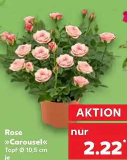 Kaufland DE Rose Carousel aanbieding