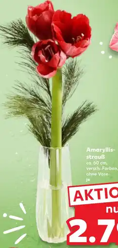 Kaufland DE Amaryllis Strauß aanbieding