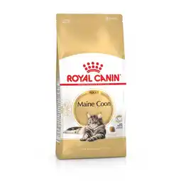 Pets Place Royal Canin Maine Coon Adult - Kattenvoer - 12 kg Bonusbag aanbieding
