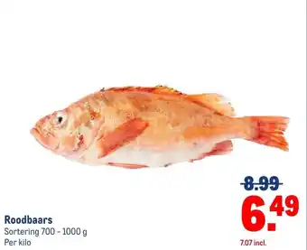 Makro Roodbaars aanbieding