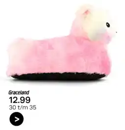 vanHaren Graceland aanbieding