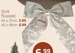 Coppelmans Strik fluweel aanbieding