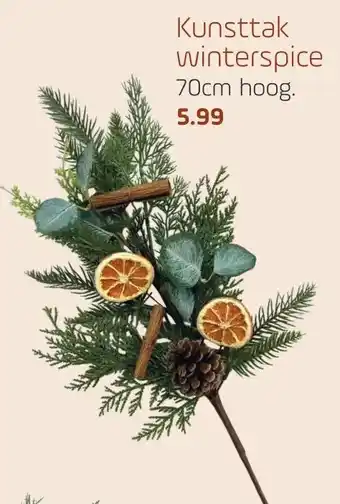 Coppelmans Kunsttak winterspice aanbieding