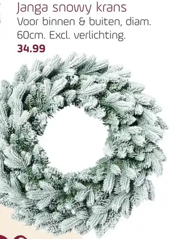 Coppelmans Janga snowy krans aanbieding