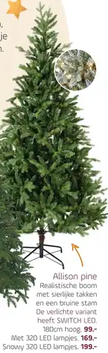 Coppelmans Allison pine aanbieding