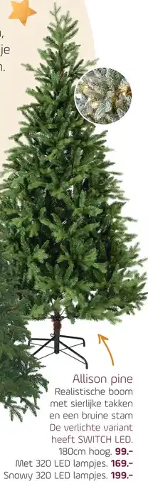 Coppelmans Allison pine aanbieding