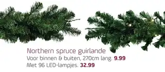 Coppelmans Northern spruce guirlande aanbieding