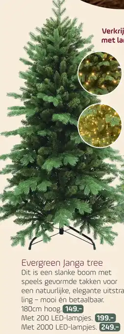 Coppelmans Evergreen Janga tree aanbieding