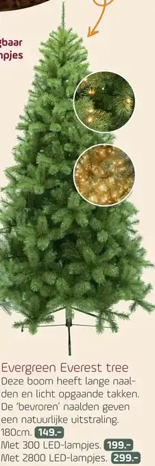 Coppelmans Evergreen Everest tree aanbieding