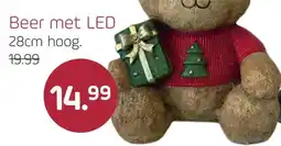 Coppelmans Beer met LED aanbieding